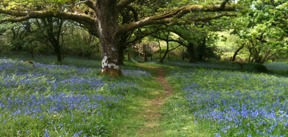 Yogajen meditation at Ceibwr Bay Pembrokeshire